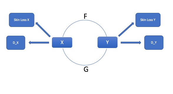 Skin Loss CycleGAN